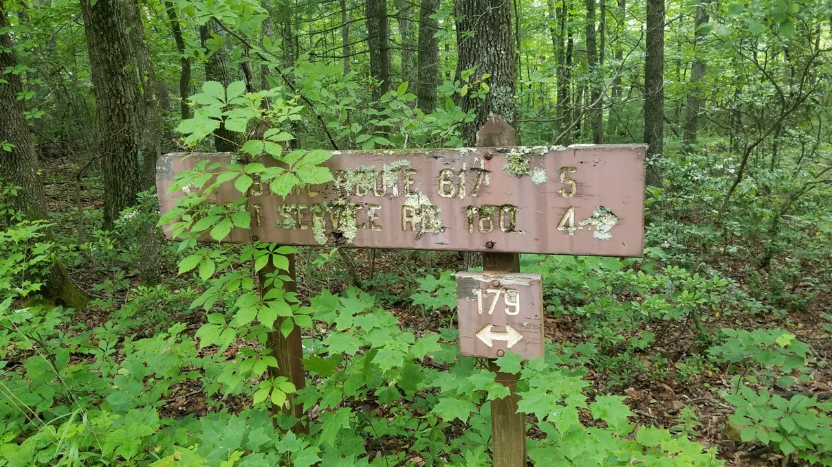 20180602_142705