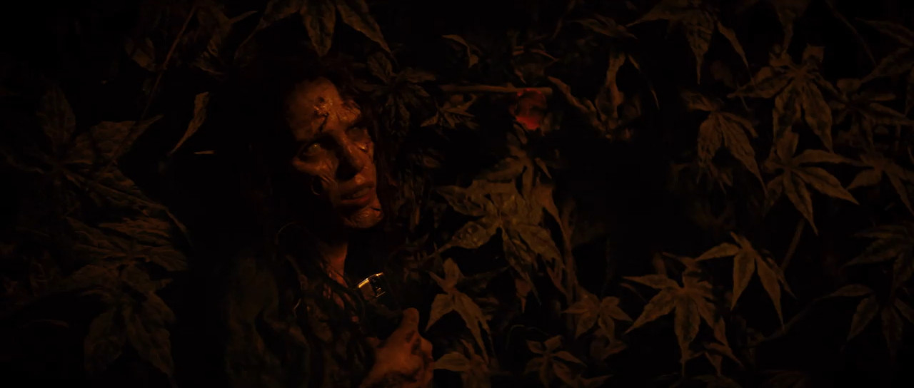The Ruins 2008 BluRay [Hindi + English] 480p 720p ESub Screenshot