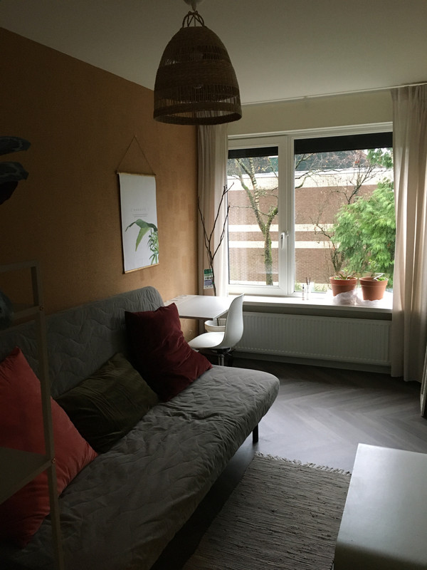 5ACF2C8E-FE53-4070-A2E2-62770A68B86B