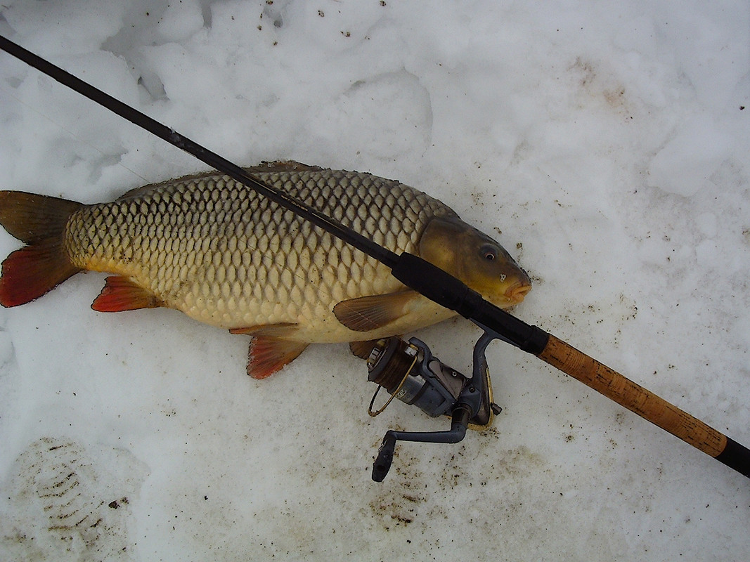 Карпик и пикер