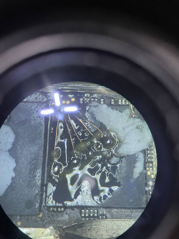 photo 2026 01 25 16 54 08