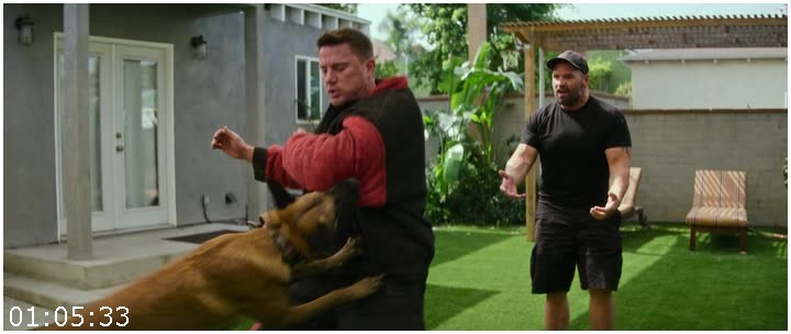 Dog-2022-HDRip-Xvi-D-B4-ND1-T69.jpg