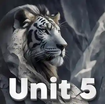 Unit 5