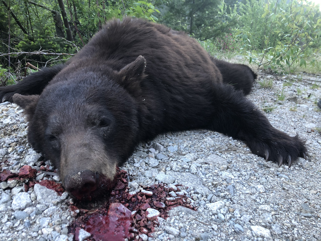 FF7953A3-CB5A-42B1-BB21-9CEB151972C6