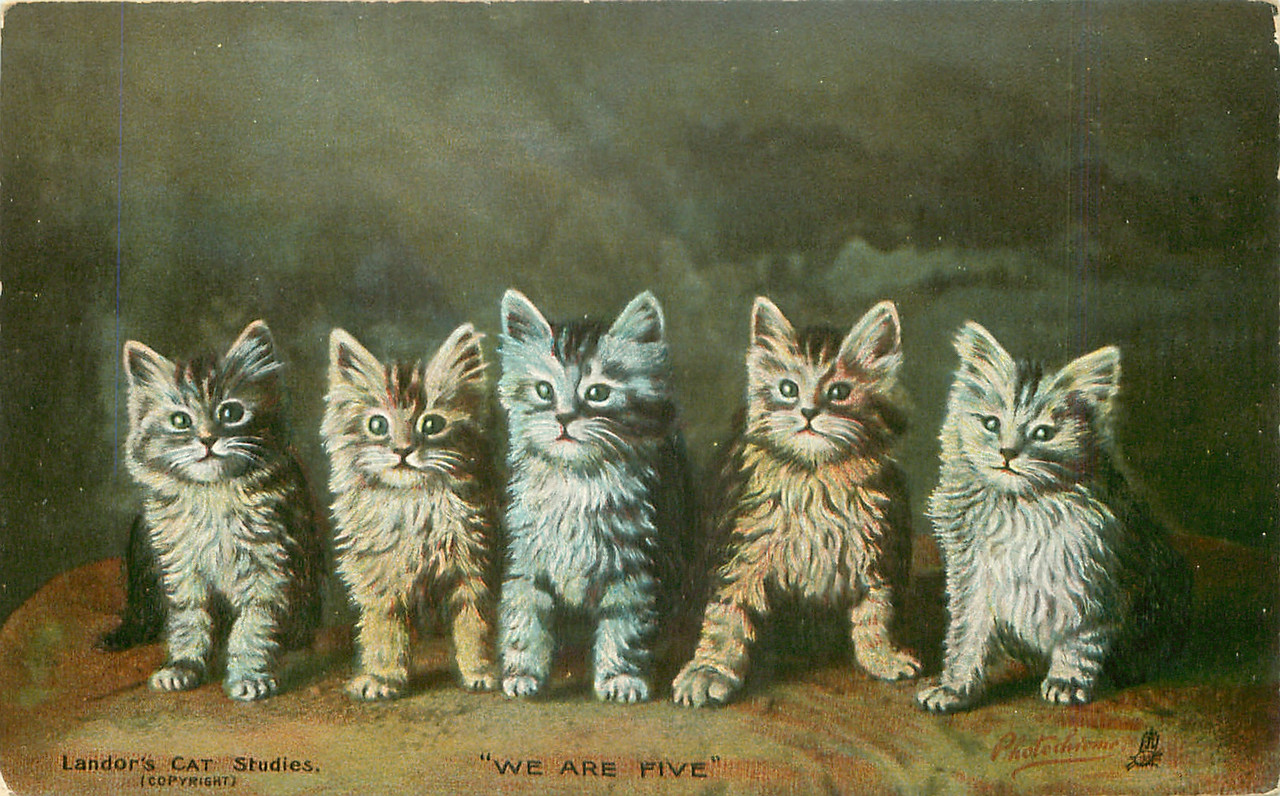 24-2011-06-15-17-40-14