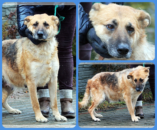 BeFunky-collage (24)