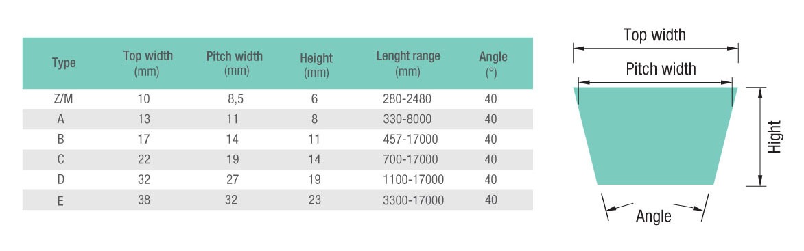 WhatsApp Image 2025-06-13 at 14.18.18