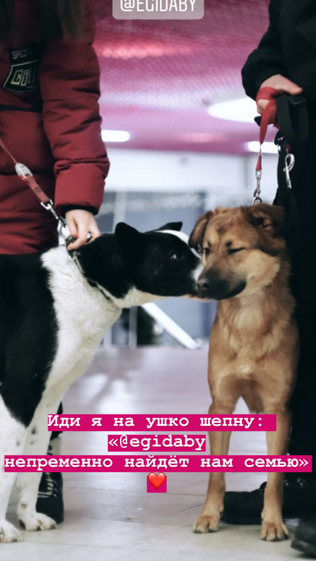 D854A016-7331-4471-AA33-76A64010ECCB