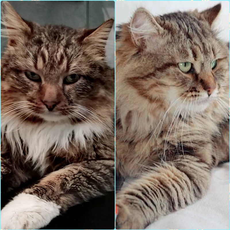 9E22C1F9-2ED3-41A8-8B3F-244771C3440C