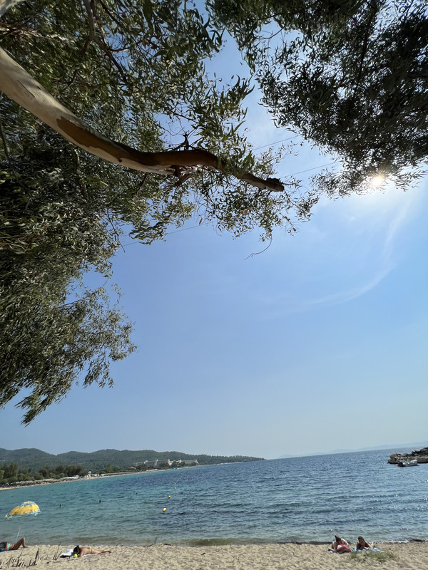 94806FA8-1CC9-471B-9F42-AFACA11FB19F