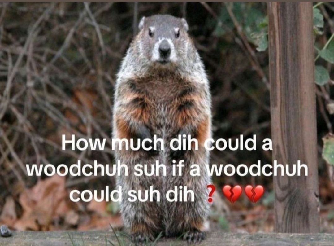 Screenshot 20260130 121838 Spotify