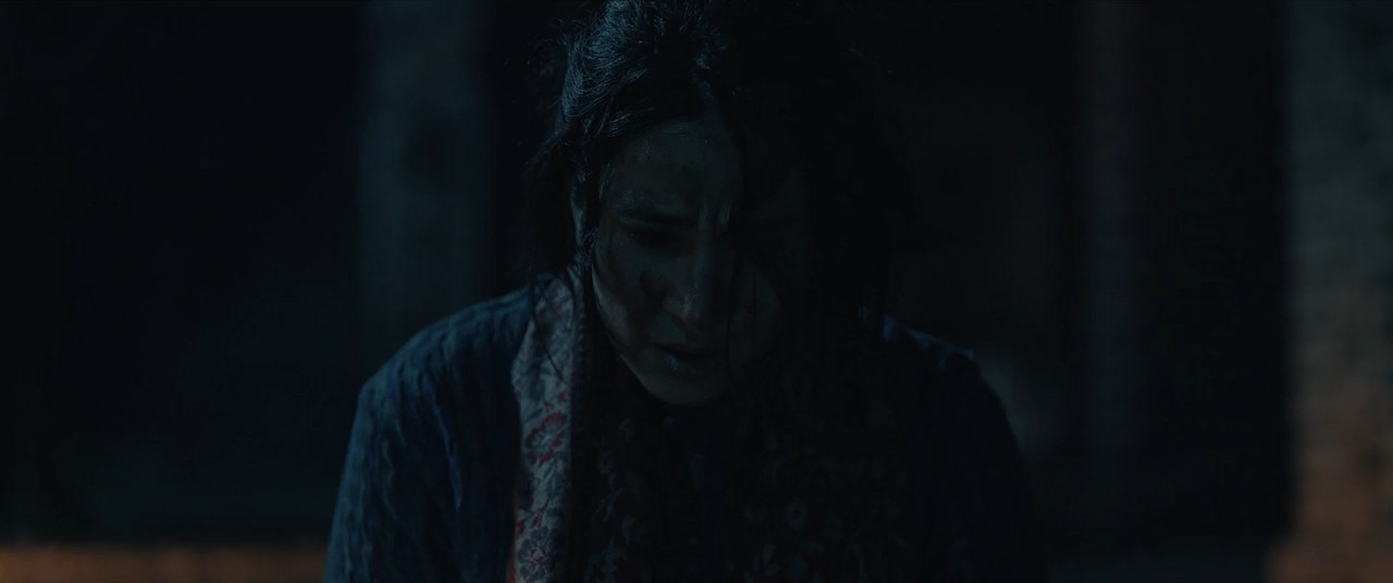 Baramulla 2025 WebRip [Hindi + Tamil + Telugu] 480p 720p ESub Screenshot