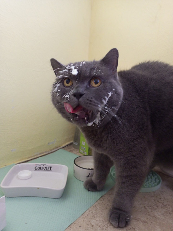 IMG_20230525_141041_482