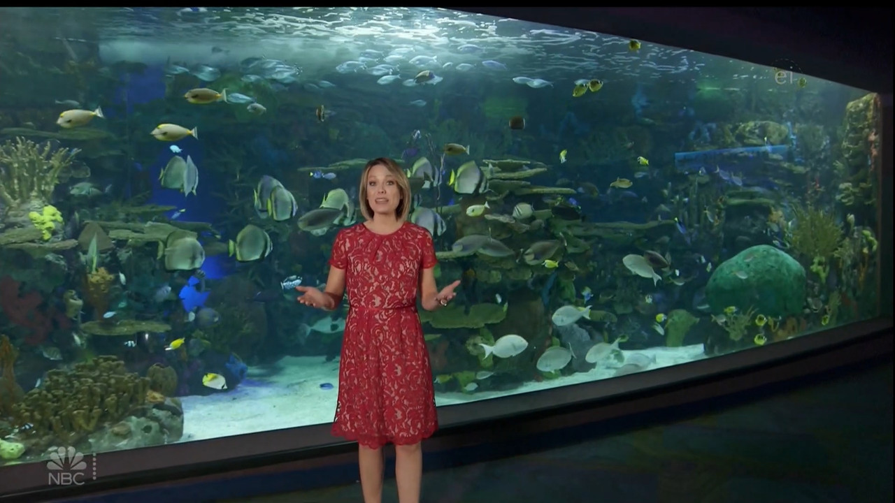 11.07 - 15.00.00 - Earth Odyssey With Dylan Dreyer. The world's smart....ts_snapshot_01.05.17.248