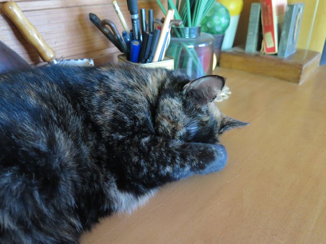 Slika