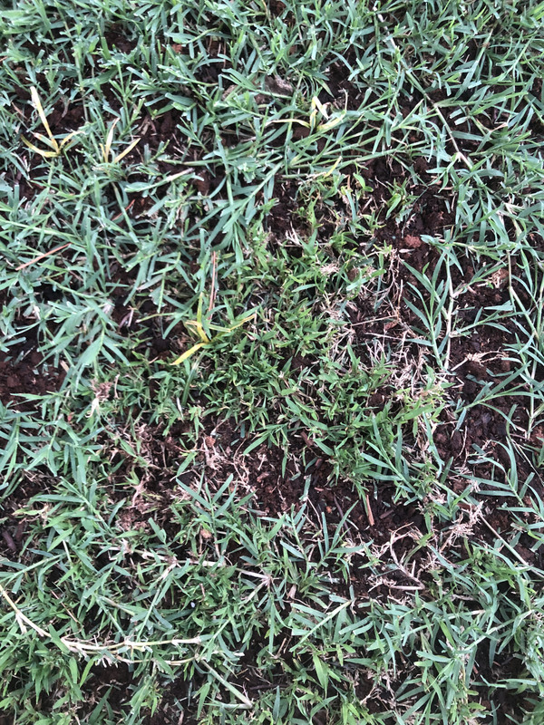 489556A3-3665-4764-8FA0-22339112FFA7