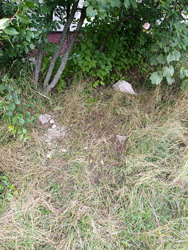 IMG 20260726 171201
