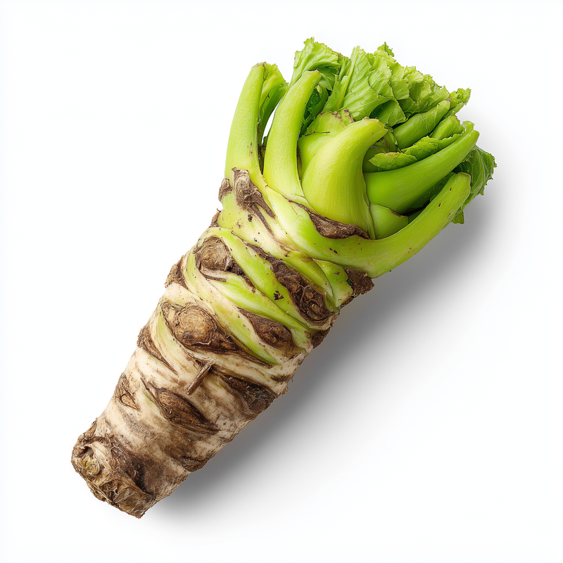 Świeży korzeń wasabi