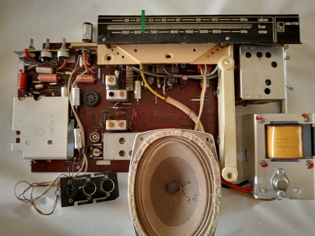 RCAS-STERN-CIRCUIT-FATA-PLANTATA-1.jpg