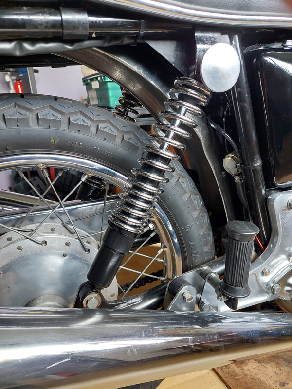 What Did You Do With Your Commando Today?