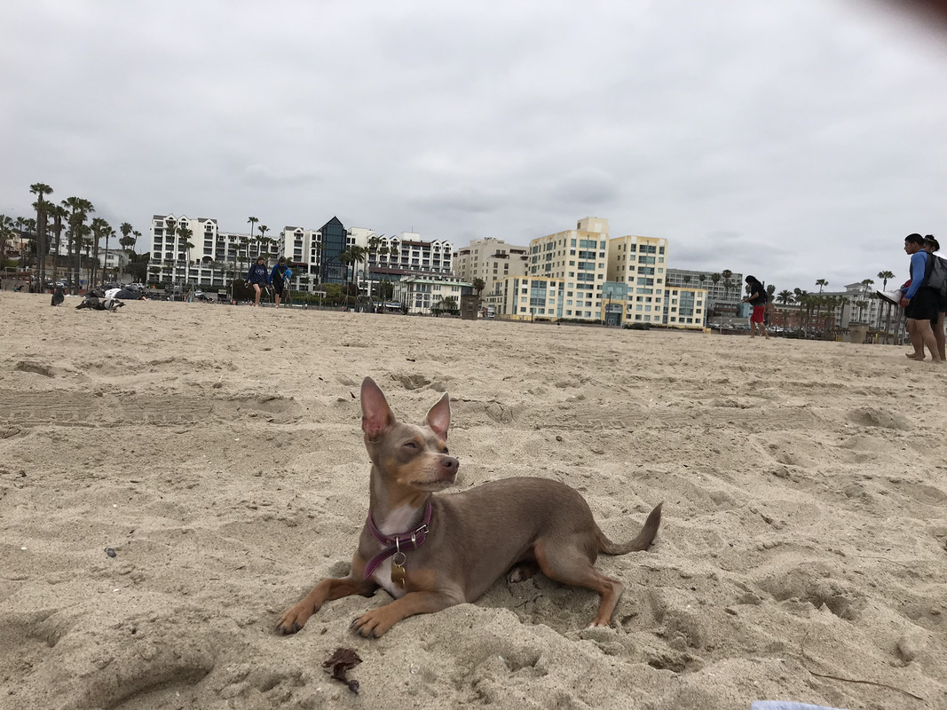 E4BB65E3-D34D-42FE-9E20-4C074CB75EB3