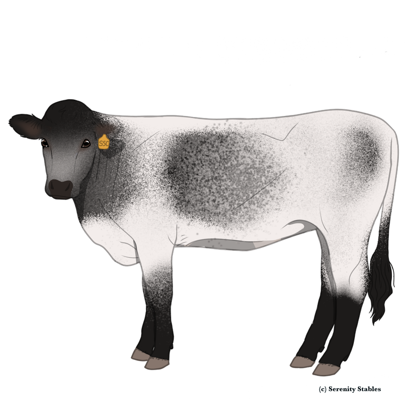 Untitled590-20240531105149.png