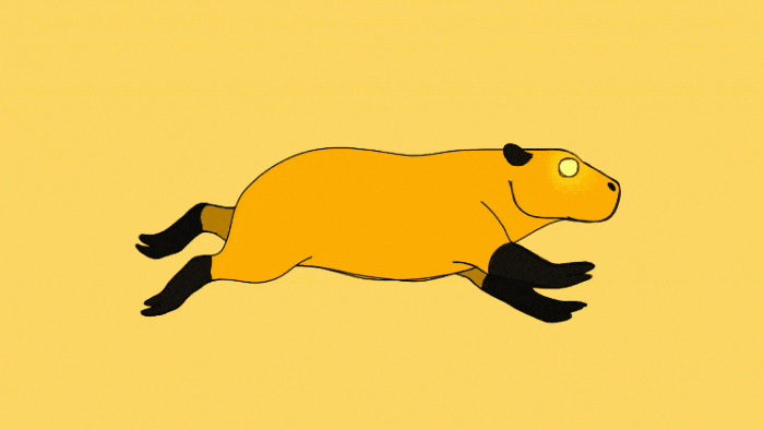 GIF-20250825-175627-722.gif