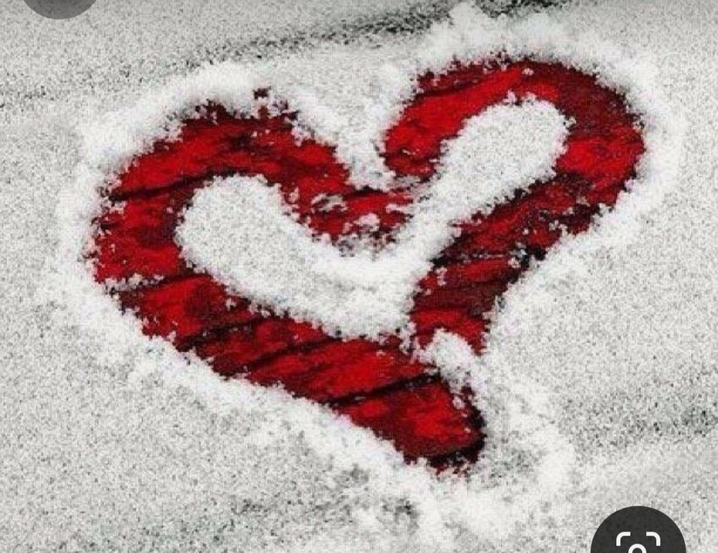 Screenshot_20240214_111404_Pinterest