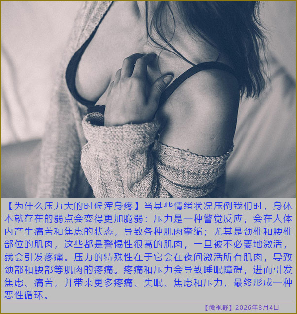 https://i.postimg.cc/6pt12Xjz/20260304-sy-(9).jpg