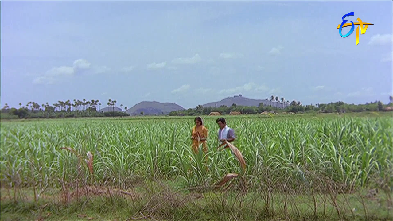 vlcsnap 2026 02 04 14h00m55s191