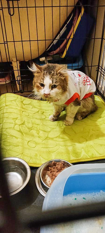 088FBA36-2702-4CA1-82E9-EEAC3959C9EB