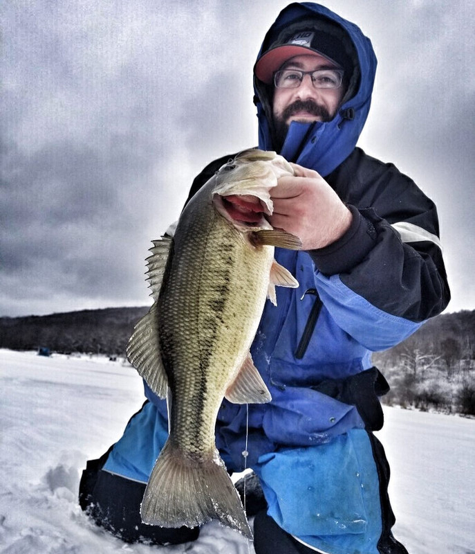 high point bass