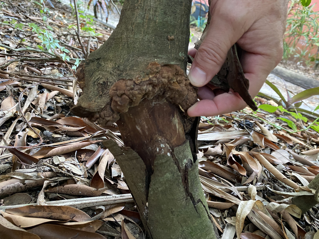 4E75E437-75F2-40E6-802A-56EFD4AB5CCD