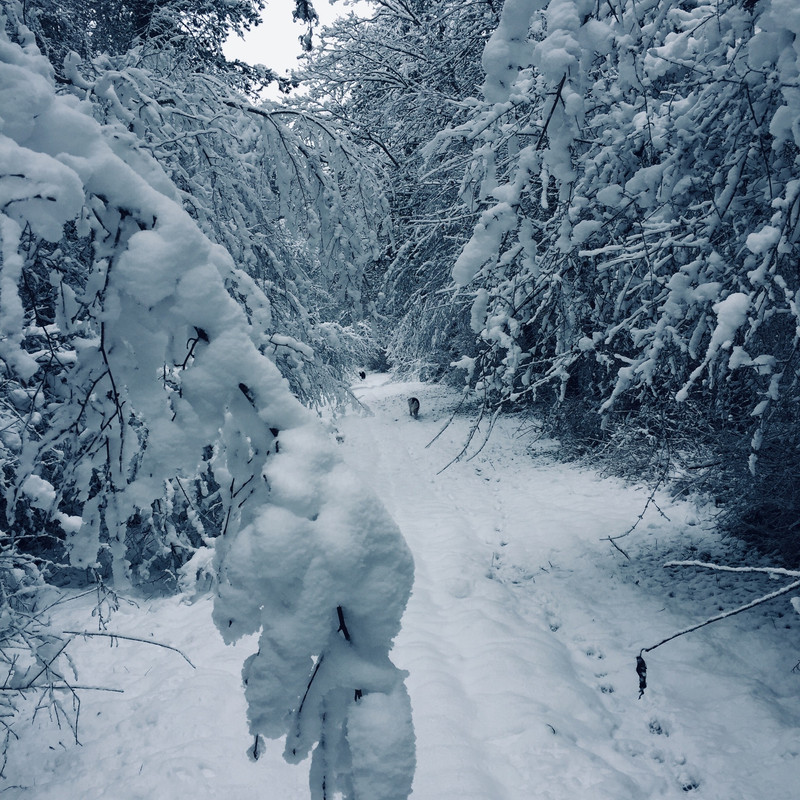 FE9D6617-A307-4550-8909-3F36743B1D53