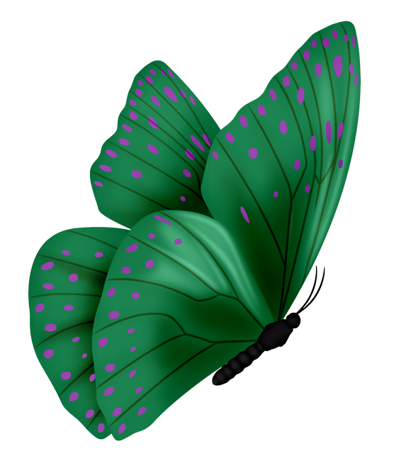 PeacockDreams_MM_Element (43)