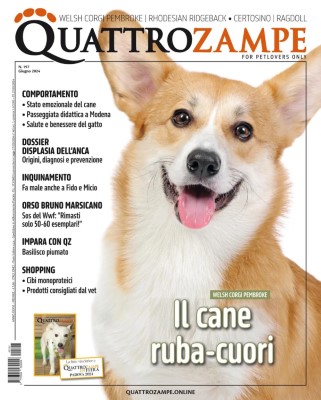 QuattroZampe - Giugno 2024