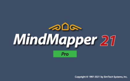 MindMapper Pro 21.9203p(22)