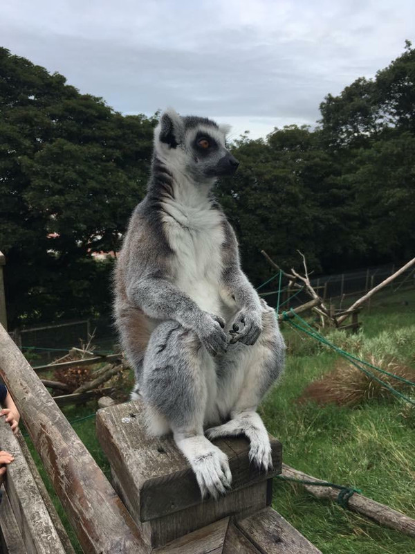 (JPEG Image, 720?×?960 pixels)