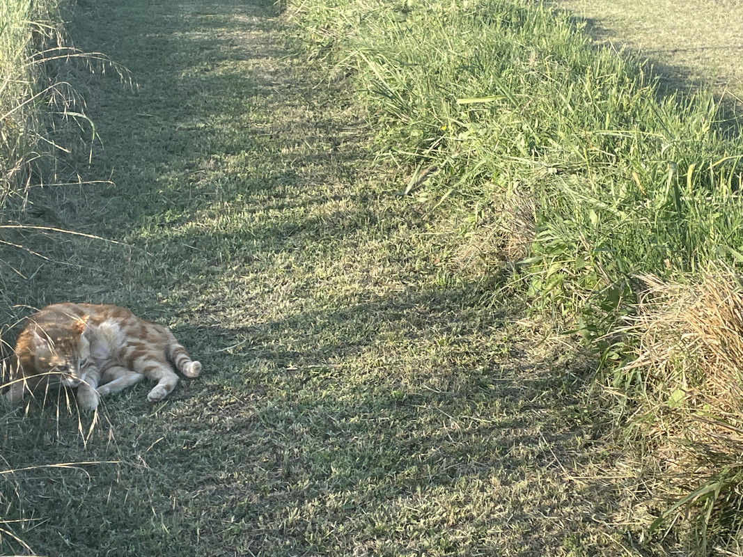 C630118F-1472-4B81-A94C-EA3FC96BC892