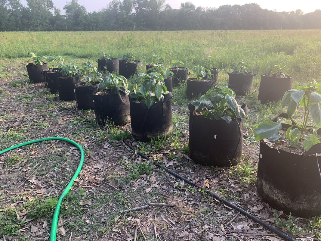 861F191F-EF5C-48FD-AFD7-D3C2274D1804