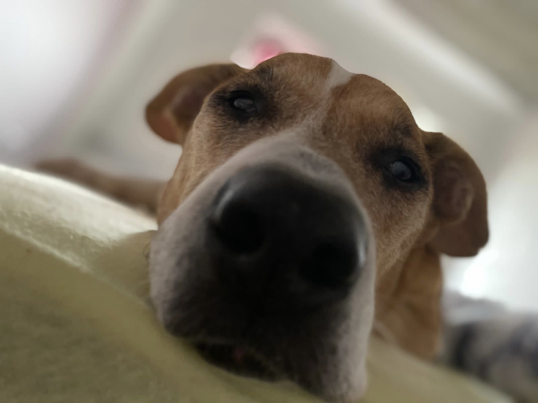 EBB657AC-F995-4C47-8170-9A3062325340