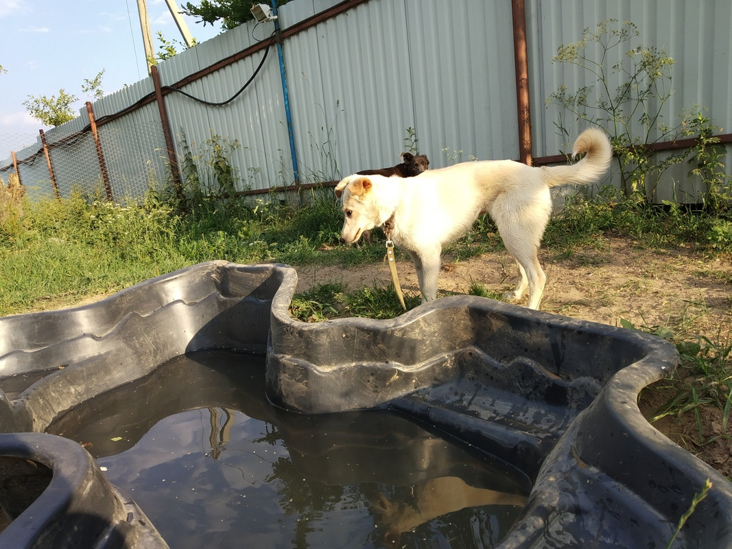 Крема на прогулке1