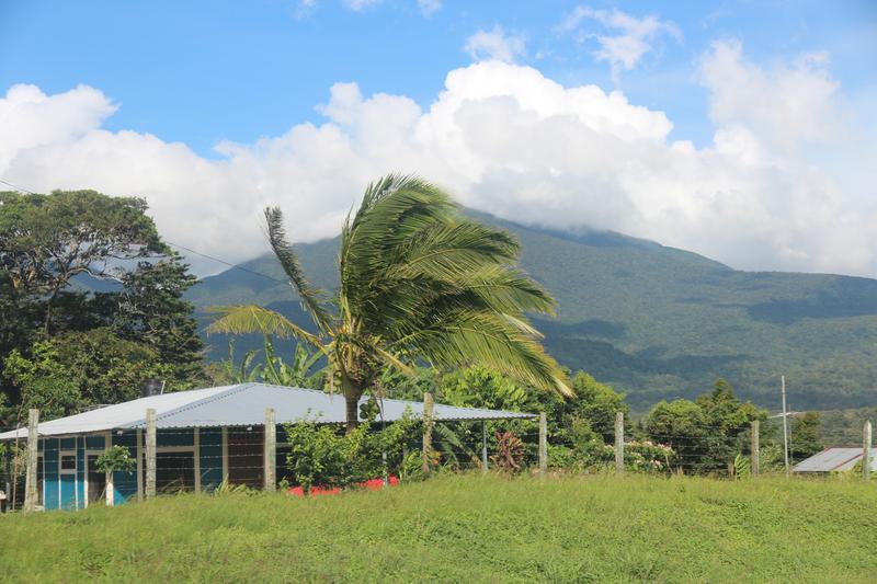 DIA 10: RIO CELESTE - DE TORTUGAS Y PEREZOSOS. COSTA RICA 2019 (55)