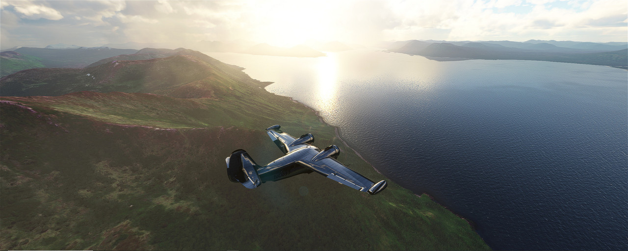 Goose-23.jpg