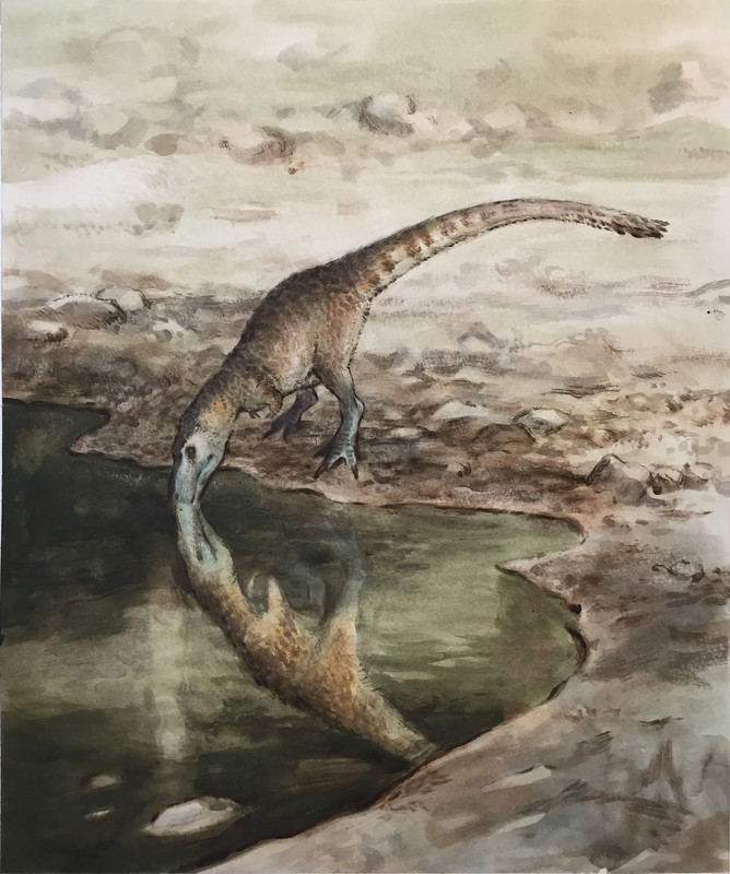 d951159dd19d5ec8b46a456b_rw_1920