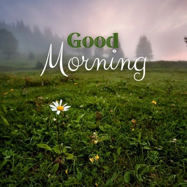 vartotojo kelta nuotrauka