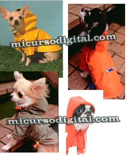 impermeable para mascotas patron ropa perros cursos