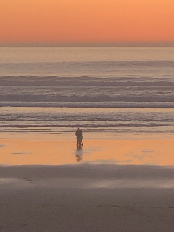 C4FF4563-3066-4FAC-AED3-E0A27F944967