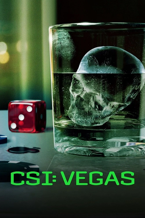 CSI: Vegas (2024) (sezon 3) PL.1080p.AMZN.WEB-DL.DD2.0.H264-Ralf / Lektor PL