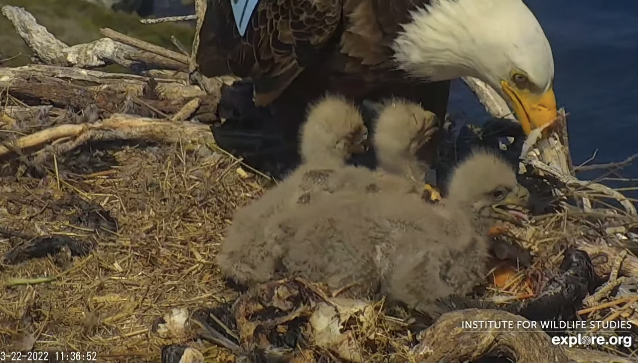 F8E13E8B-C361-434B-9262-A377041E54B1